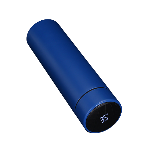 Smart Water Bottle with LCD Temperature Display