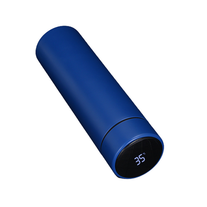 Smart Water Bottle with LCD Temperature Display