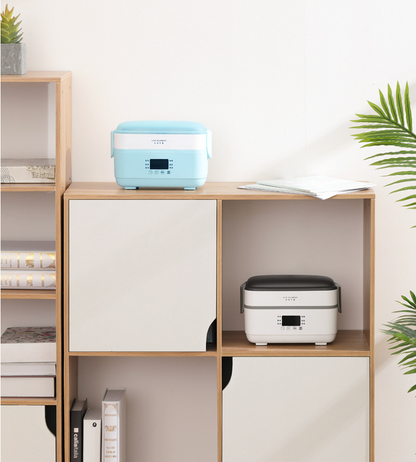 Portable Electric Lunch Box